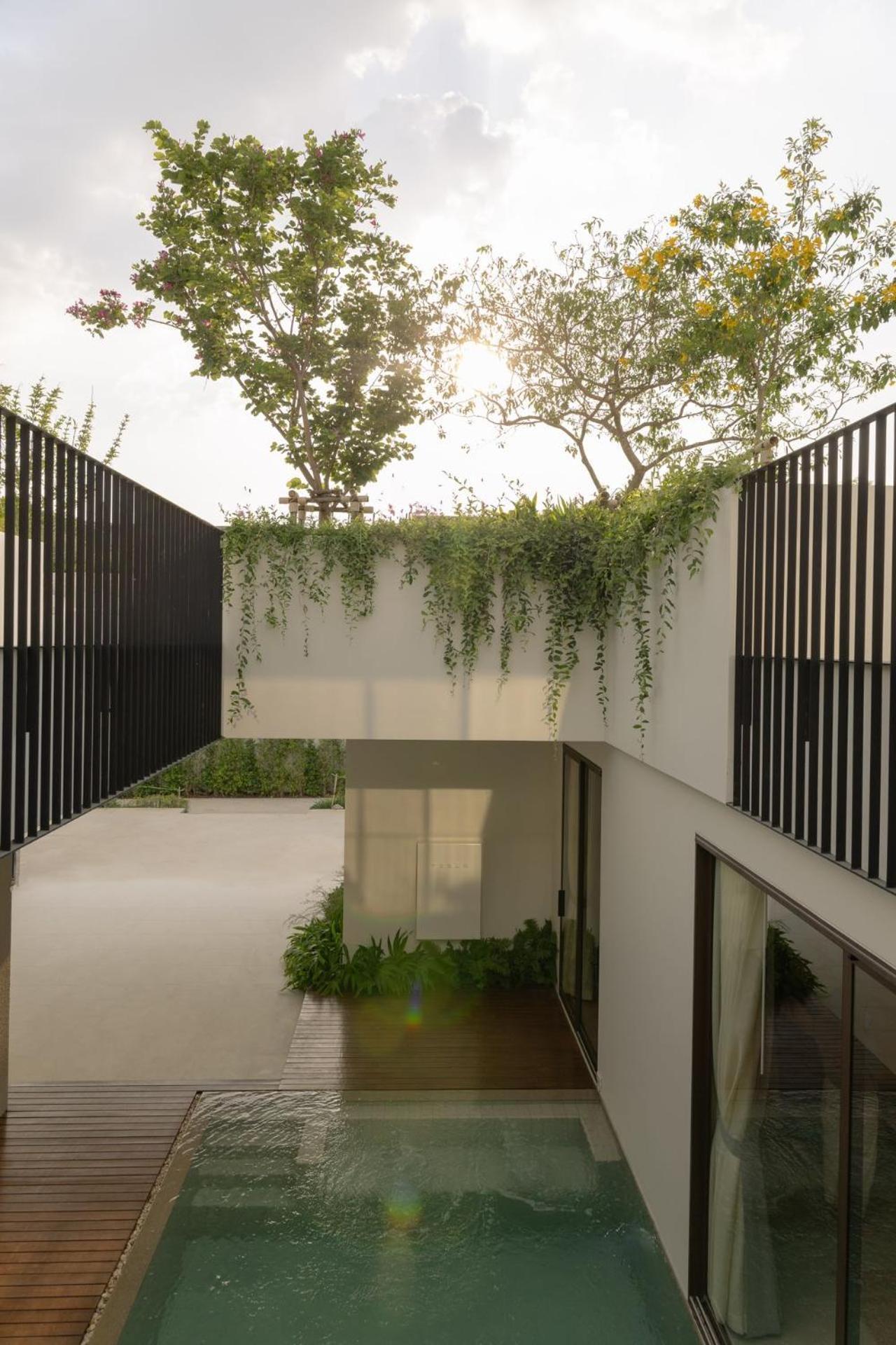 Tree O'Clock Pool Villa - Phuket Thalang Room photo